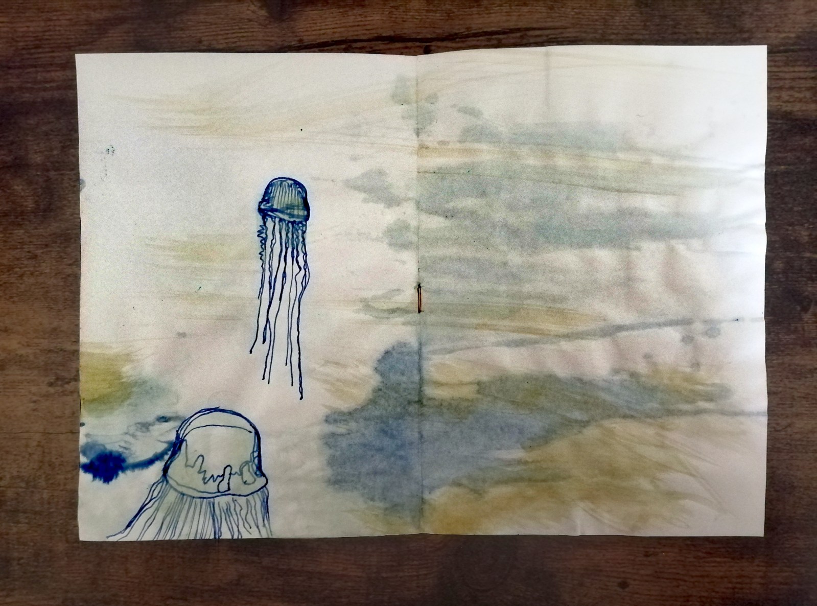 Untitled marine study