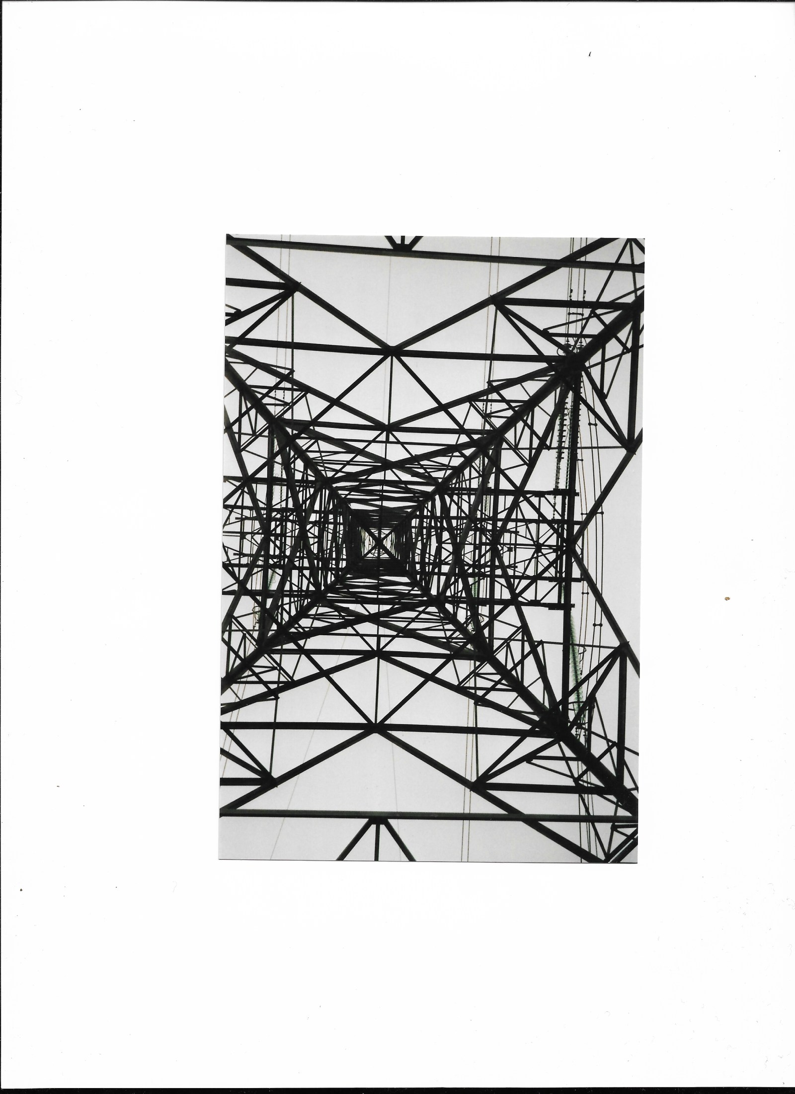 Untitled photograph